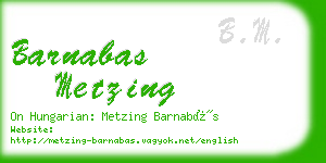 barnabas metzing business card